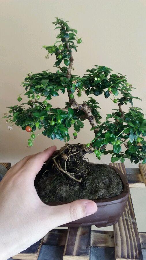 探寻福建，魅力之地的风华篇章