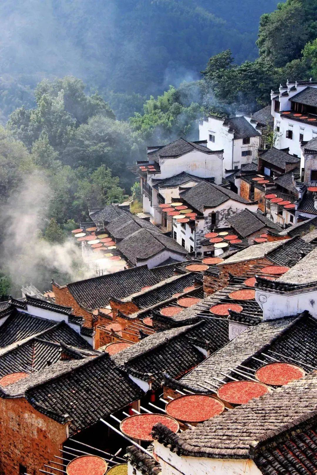 红色沃土,绿色江西,江西的红色传承与生态家园