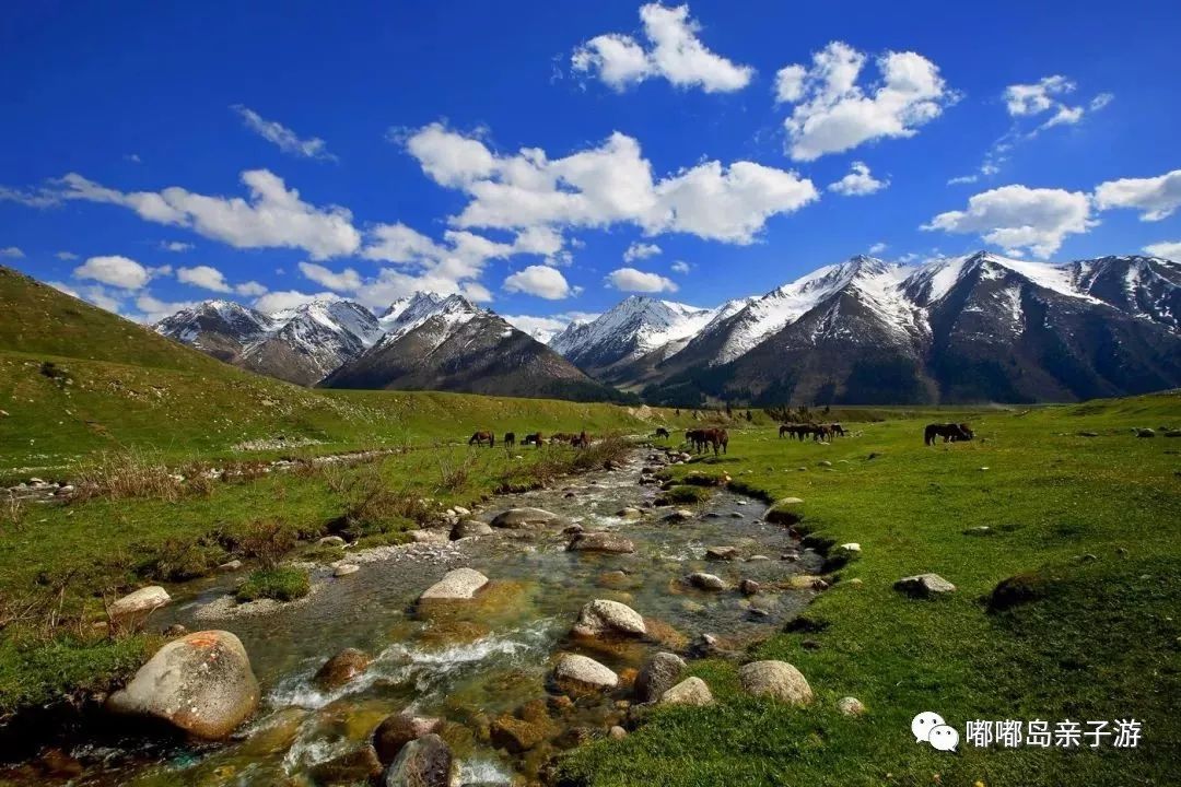 丝路明珠,新疆多元文化交融的魅力